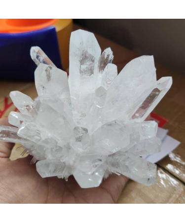 800g Quartz Crystal Clear Quartz Cluster Natural Quartz Chakra Reiki Balancing - Buy Online on GoSupps.com