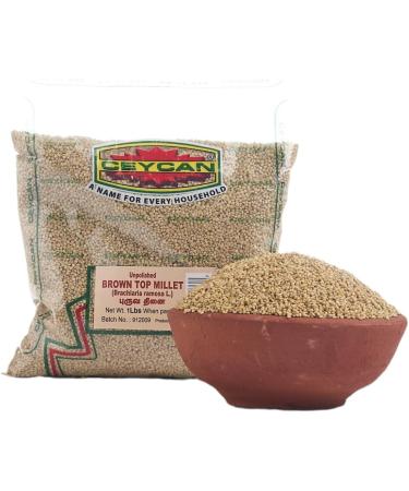 CEYCAN Browntop Millet 454g Gluten-Free Grain Also Known as Chotti Kangni Andu Korralu Korale Puruva Thinai Native Low GI Millet High Protein Double the Fibre of White Rice - Buy Online on GoSupps.com