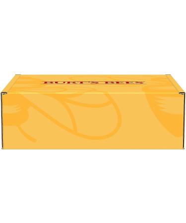 Burt's Bees Cold Sore Treatment Bundle - Healing Patches & Rhubarb-Sage Treatment for Symptom Relief - Buy Online on GoSupps.com