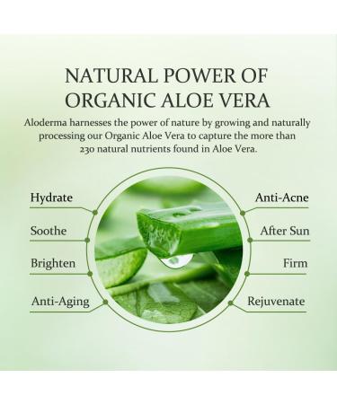 Aloderma Aloe Firming Face Cream | 67% Organic Aloe Vera | Anti-Aging Face & Neck Cream with Vitamin E | Natural Skin Renewal | 1.7oz - Buy Online on GoSupps.com