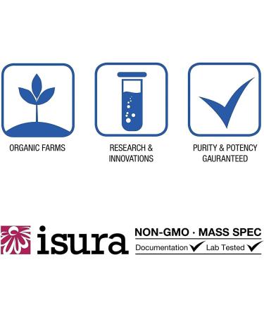 Natural Factors Acetyl L-Carnitine 500mg 60 Vegetarian Capsules - Pack of 1 - Buy Online on GoSupps.com