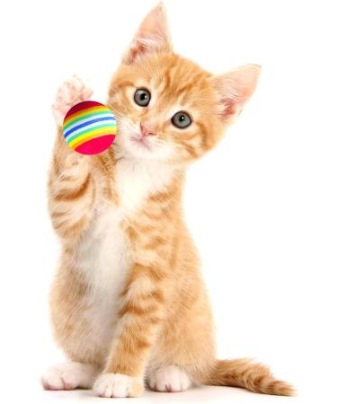 Rumyve 12 Pcs Rainbow Cat Toy Balls - Interactive Indoor Play Balls for Cats and Kittens - Buy Online on GoSupps.com