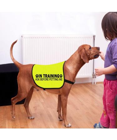 Dog Vest 'In Training' Warning - Please Don't Approach/Ask Before Petting (Medium) - Buy Online on GoSupps.com
