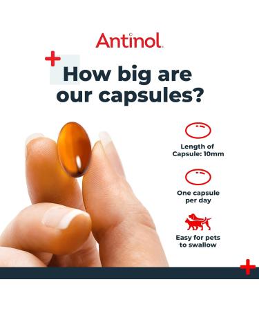 Antinol - Natural Joint Supplement for Adult Cats - Supports Joint Mobility & Skin Health - With Green Lipped Mussels Omega 3 & Vit E - 90 Capsules - Buy Online on GoSupps.com
