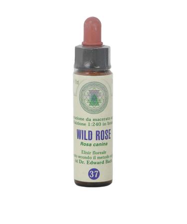 Wild Rose n 37 Fleur de Bach farmaflor 1 Flacon Comtpe Gouttes 10ml - Made in Italy