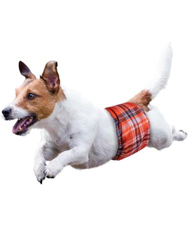 Buy Micoooyo Washable Belly Bands for Male Dogs | Reusable Dog Diapers | Adjustable Suctionable Wrap - XSmall 3-Pack (Red Blue Gray) - Fits Newborns 17.8-22.8cm Waist - Buy Online on GoSupps.com