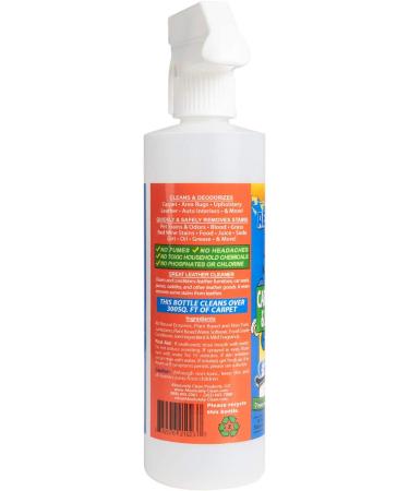 Pet-Friendly Carpet Shampoo: Removes Stains in 60 Seconds - Made in USA - Vet Approved - 16oz Spray - Buy Online on GoSupps.com