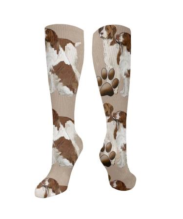Brittany Spaniel's liver -colored compression socks for women and men circulation 15 20 mmHg is the best support for sporty running and cycling