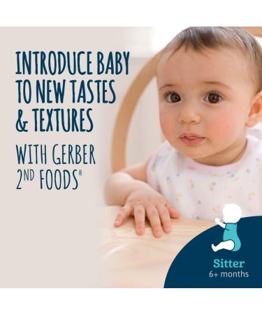 Gerber 2nd Foods Meat Chicken & Gravy Jar - Pack of 10 for Baby's Mealtime - Buy Online on GoSupps.com