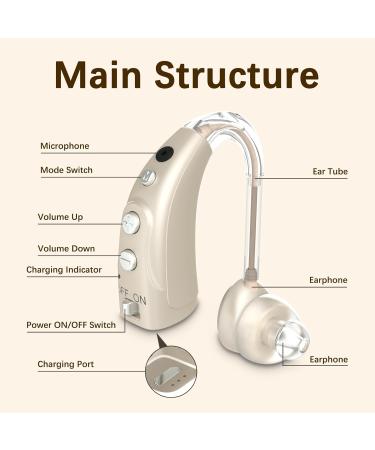 Delmicure 1710S Fully Digital Device - 16 Channels Rechargeable Noise Reduction & Adjustable Volume | International Shipping Available - Buy Online on GoSupps.com