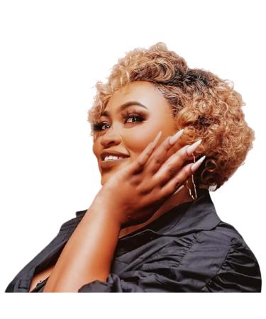 Ustylish Pixie Cut Wig Human Hair T Part Short Curly Wigs Human Hair 13X4X1 Curly glueless Wigs Human Hair Pre Plucked Glueless Lace Front Wigs Human Hair for Black Women (Ombre Blonde) Blonde T27