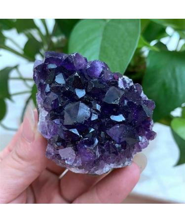 Amethyst Natural Rock Quartz Amethyst Cluster Druzy Geode Specimen(Quantity Choice : 5Pcs Size Choice : 30-40g) ningxiao (Color : 10-20g Size : 10Pcs) 10Pcs 10-20g - Buy Online on GoSupps.com