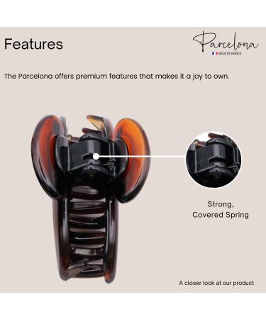 Parcelona French Glossy Oval Small Celluloid Hair Claw Set | No Slip Grip | Made in France | Tortoise Shell Brown - Buy Online on GoSupps.com