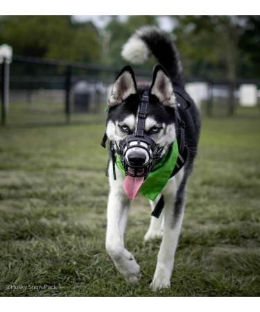 Barkless Dog Muzzle - Soft Silicone Anti-Bite & Chew Enables Drinking & Panting Fits Snout 6 -7 Black | International Shipping - Buy Online on GoSupps.com