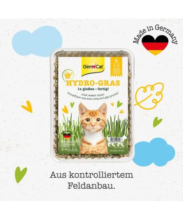 GimCat Hydro Grass - Certified Fresh Cat Grass Ready in 5-8 Days - 1 Punnet (150g) - Buy Online on GoSupps.com