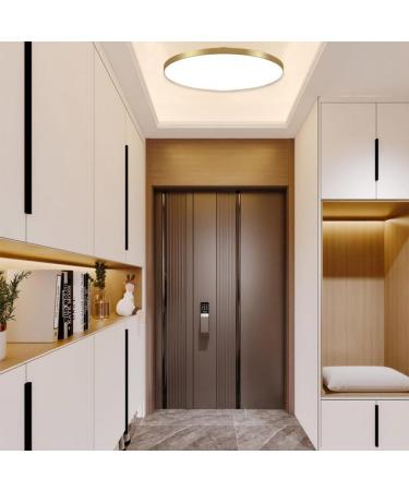 Mengjay 40W Dimmable LED Ceiling Lamp - Ultra Thin Round Panel Light for Living Room Kitchen Kids Room Bathroom & Balcony | 3000K-6000K Gold Finish - Buy Online on GoSupps.com