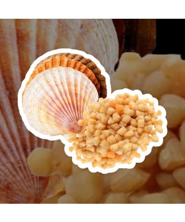 Mini Small Sun Dried Scallops Conpoy Seafood 3.2 oz. - Perfect for Soup & Asian Recipes - Buy Online on GoSupps.com
