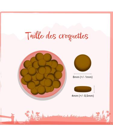 Wild Animal Premium Mini Dog Food for Small Breeds Chicken with Sweet Potato and Herbs Grain Free Pack of 1 (1 x 6 kg) - Buy Online on GoSupps.com