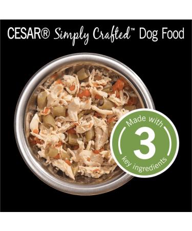 Cesar Simply Crafted Adult Wet Dog Food Chicken Carrots & Green Beans 37g Pack of 10 - Buy Online on GoSupps.com