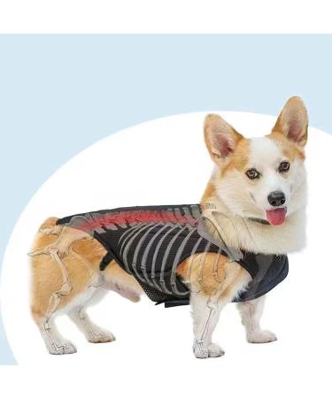 PURPLELILY Injury Support Dog Vest Aid Recovery And Improve Comfort Breathable Vest Bracer Provide Stability And Support Small - Buy Online on GoSupps.com