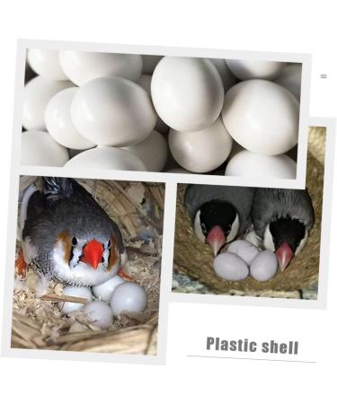 BESPORTBLE 12pcs Portable Fake Eggs Multi-Function Fake Eggs Delicate Simulated Eggs Solid Egg Multifunction 1.6x1.2cm White - Buy Online on GoSupps.com