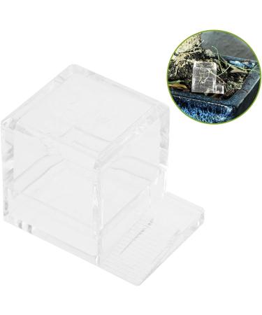 BESPORTBLE 2pcs Pet Water Feeder Ants Drinking Tool Ants Water Drinking Bowl Ants Water Bowl Plastic - Buy Online on GoSupps.com