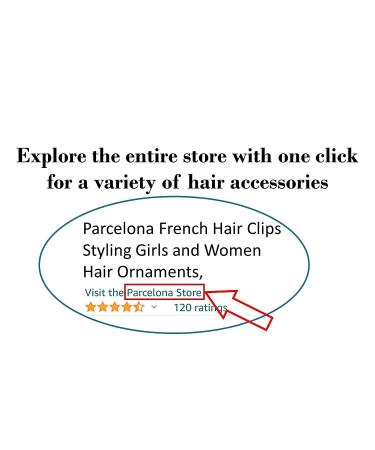 Parcelona French Oval Celluloid Tortoise Shell Large 4 Automatic Hair Clip Barrette - Made in France - Buy Online on GoSupps.com