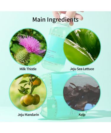 faircell Aloe Vera Facial Essence Water Hydrating Skin Toner for Sensitive Skin Lightweight Refreshing Formula Quick Absorbing Korean Skincare Routine Step - 300ml 10.14 Fl Oz (Pack of 1) - Buy Online on GoSupps.com