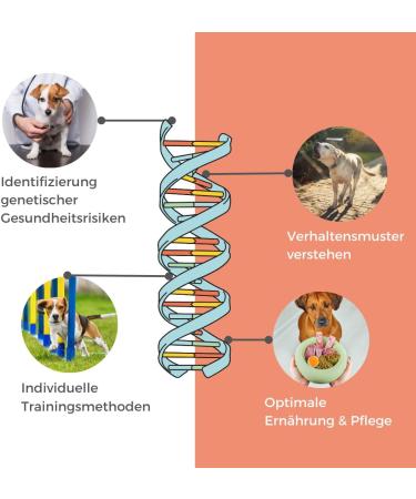 DNA Dog Breed Test & MDR1 Gene Defect Analysis | Accurate Worldwide Shipping - Buy Online on GoSupps.com