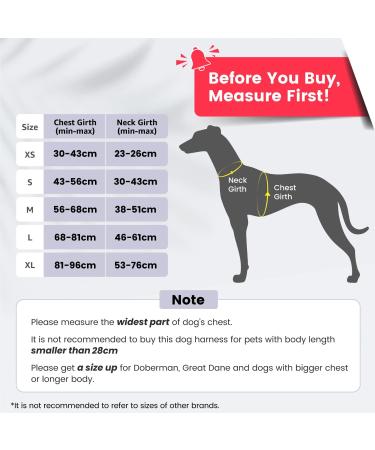 Shop Pawaii XS Dog Harness for Small Dogs - Anti-Pull Reflective Adjustable & Breathable with Handle | Ideal for Comfort & Control - Davys Gray - Buy Online on GoSupps.com