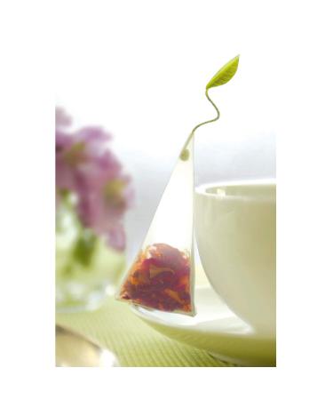 Tea Forte Classic Herbal Tea Presentation Box | Gift Set with 20 Assorted Handcrafted Pyramid Infuser Bags | Naturally Decaffeinated Herbal Teas - Buy Online on GoSupps.com