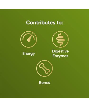 Naturya Energizing Matcha Superfood Latte Blend 250g - Creamy Vegan & Gluten-Free Matcha Green Tea with Coconut Milk Reishi Mushroom Live Bio Cultures & Seaweed Calcium for Digestion & Bone Health - Buy Online on GoSupps.com