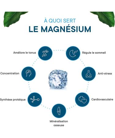 Magnesium Bisglycinate + Taurine & Vitamin B6 High Bisglycinate Content 1080mg /day 120 capsules Fights Fatigue and Stress Better Absorbed than Magnesium Marin Made in France - Buy Online on GoSupps.com