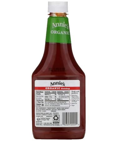 Annie's Homegrown Organic Ketchup 24 oz - 2 Pack, 1.5 lb Each - Buy Online on GoSupps.com
