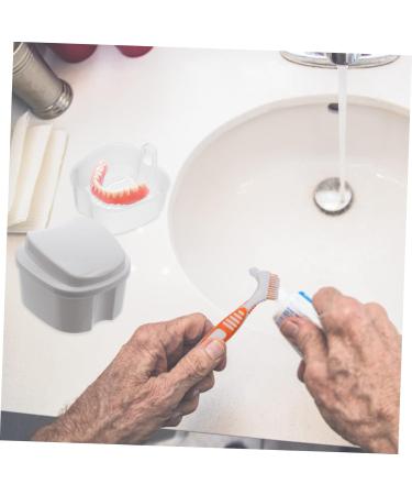 Buy Lurrose 10-Piece False Toothbrushes Storage Box - Ideal Oral Care Container for Prosthesis Baths | International Shipping Available - Buy Online on GoSupps.com