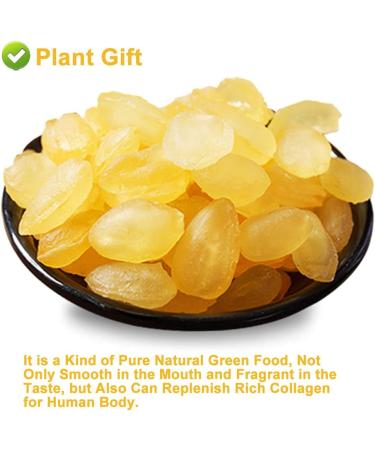 Plant Gift Natural Gleditsia Sinensis Saponin Honeylocust 200G/7.05oz Wild Sugar-Free Sulfur-Free Two-Sided Snow Swallow Gum Gleditsia Sinensi - Buy Online on GoSupps.com