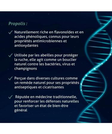 BLANCHE BRESSON - Organic Propolis - Energy & Immunity - Organic Acerola - Natural Vitamin C - Fights Fatigue & Season Change Vitality - 60 Capsules - 30 Day Treatment - Made in France - Buy Online on GoSupps.com