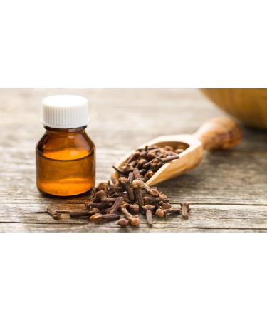 LOUICE Whole cloves 100 g strong and aromatic scent ideal for cooking and infusions 100 natural without additives - Buy Online on GoSupps.com