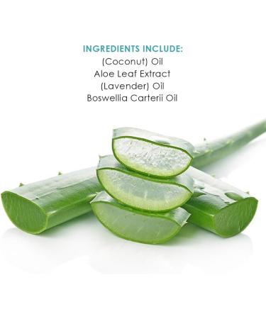 Aveline Women's Silky Smooth Shaving Starter Kit | 6-Blade Razor, Exfoliating Scrub, Shea Butter Cream, & Moisturizing Lotion - Buy Online on GoSupps.com