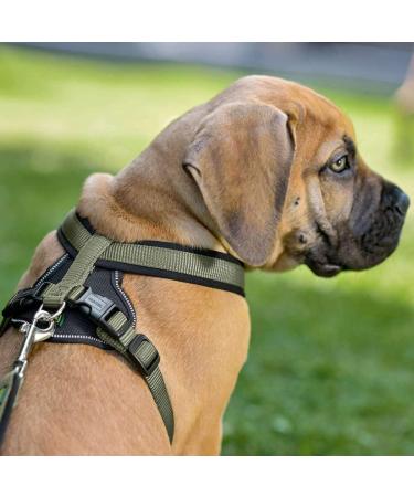 HUNTER NEOPRENE Dog Harness - Padded Nylon Olive/Black Size L (72-91 cm) - Premium Comfort & Durability for International Shipping - Buy Online on GoSupps.com