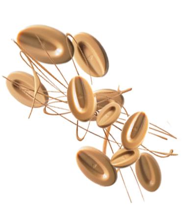 Valrhona DULCEY BLOND Chocolate Discs 35% Cacao 250g - Creamy Caramel Cookie Flavor - Easy Melt & Tempering - Ideal for Luscious Frostings - Buy Online on GoSupps.com