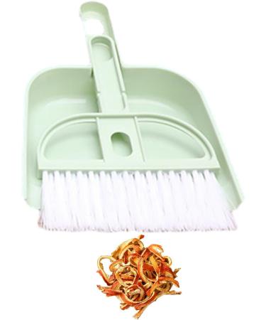 Shakven Cleaning Brush and Dustpan Combo - Hand Dustpan and Brush Set Portable Hand Cleaning Dustpan and Brush Set for Keyboard Countertop Green - Buy Online on GoSupps.com