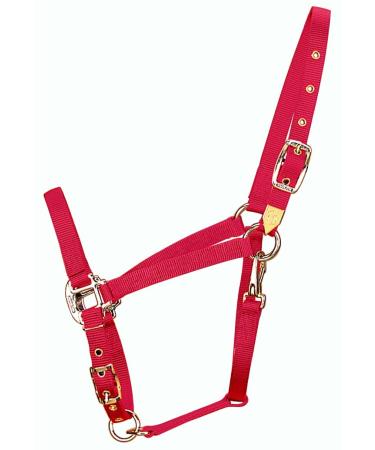 Hamilton 3/4-Inch Nylon Arabian Horse Waller with Adjustable Chin and Throat Snap Average 800 to 1100 Pounds Raspberry Red Average 800 To 1100 Pounds Raspberry