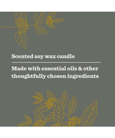 Mrs. Meyer's Clean Day Garden Heirloom Wild Mint Scented Soy Candle - 14 Ounce Large Eco-Friendly Candle for Home and Gift - Buy Online on GoSupps.com