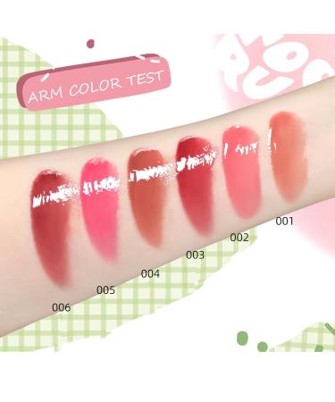 6 Colors Glossy Lip Gloss Set - Non-Sticky Liquid Lipstick & Moisturizing Lip Plumping Gloss | Long Lasting Lightweight Lip Tint - Buy Online on GoSupps.com