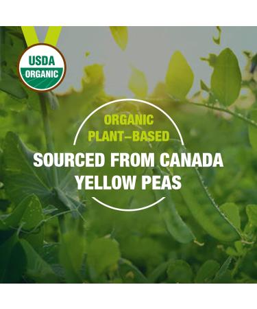 Organic 100% Pea Protein Powder - 27g Protein/Serving, Vegetarian, Gluten-Free, Non-GMO - 2.62lbs - Buy Online on GoSupps.com