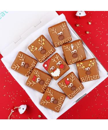 WFERS Dog Cookie Box | Handmade Santa & Reindeer Dog Treats | Locally Sourced Ingredients Gift Box - Buy Online on GoSupps.com