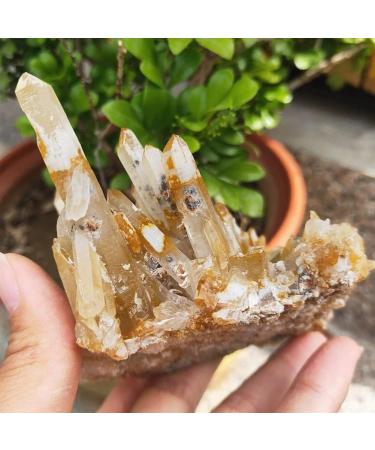 Room Decoration 300g Gemstone Crystal Cluster Natural raw Material Quartz Crystal Cluster Great Choice for Home Decoration - Buy Online on GoSupps.com