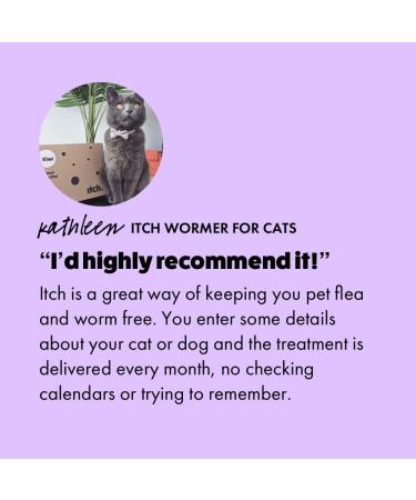 Cat Worming Tablets for 1kg+ Cats | 2 Tablets | Treats Roundworms & Tapeworms | Kills Worm Larvae - Buy Online on GoSupps.com