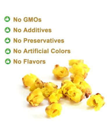 Chimonanthus Praecox Tea - Dried Winter Sweet Scented Tea 30g (1oz) - Premium Fragrance & Flavor - Buy Online on GoSupps.com